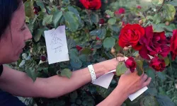 Dilekler gül ağacına, umutlar bahara
