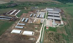 TİGEM 306 İşçi Alımı Kura Sonuçları Açıklandı! Mülakat Tarihleri Ne Zaman?