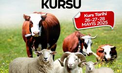 Malatya Büyükşehir’den kaçırılmayacak fırsat! Hem de MEB onaylı!