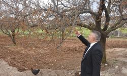 Malatya, bu sorunun cevabını bekliyor: Destekler ne zaman verilecek?