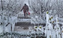 Zirai Don Komisyon’unda Malatya’yı O vekil temsil edecek!
