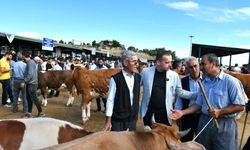Malatya Kurban Pazarında Hareketlilik: Besici Umutlu, Karademir Destek Verdi