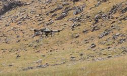 Siirt'te çekirgelere karşı dronla ilaçlama yapılıyor