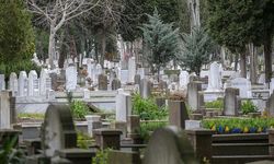 Türkiye’de Ölüm Oranları Düştü: En Yüksek ve En Düşük İller Hangileri?
