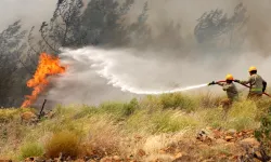 Piknikçilere Uyarı: Ormanlarda yangın riskine dikkat!