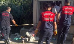 Adıyaman'da eve giren yılan korkuttu