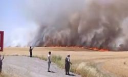 Diyarbakır'da Tarla Yangını: Bin Dönüm Buğday ve Arpa Kül Oldu
