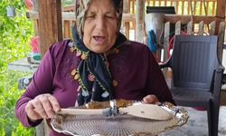 Nesli Tükeniyor! Geyik Böceğini Öldürmenin Cezası 557 Bin TL