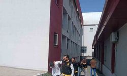 Sokak Kavgası Cinayete Dönüştü: Kendi Kardeşini Başından Vurdu!