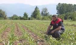 Son gün 10 Haziran: Devlet desteği ile yüzde 50 prim indirimi
