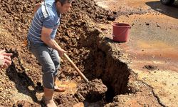 Arapgir’de üretici yalnız değil!