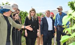 Milletvekili Ölmeztoprak’tan Üreticiyi Sevindiren Açıklama