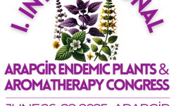 Malatya’nın Arapgir ilçesinde bir ilk, 3 gün sürecek