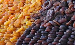 Kuru kayısının market fiyatı artmaya devam ediyor