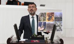 CHP’li Ağbaba: “Üreticinin dayanacak gücü yok"