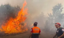 Eskişehir’de Korkunç Orman Yangını: 10 Kişi Hayatını Kaybetti