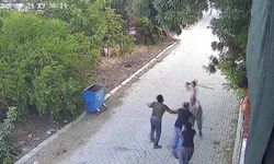 Aile İçi Vahşet! Baba, Kendi Oğullarını Av Tüfeğiyle Vurdu