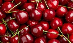 2025 Kiraz Felaketi: Türkiye İhracatta 61 Bin Ton Kaybetti!
