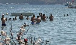 Bodrum’da Sosyal Medya Tuzağı: Tatilciler Otel Kapısından Geri Dönüyor