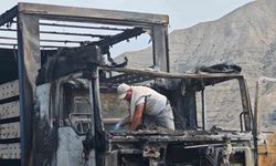 Erzurum-Artvin yolunda tır alev alev yandı!