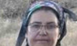 Malatya'da 53 Yaşındaki Kadın Havuzda Ölü Bulundu