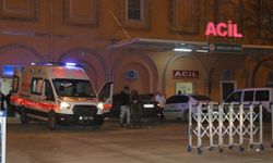 Mardin Kızıltepe'de Şok Olay: Genç Parkta Başından Vurulmuş Halde Bulundu