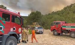 Orman Bölge Müdürü yangının ortasında kaldı