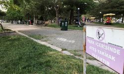 Valilik duyurdu! Ormanlara giriş yasaklandı