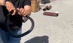 Yılancı Kemal, parmağını kaptırdı!