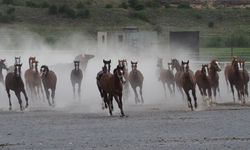Malatya 31 Temmuz’u bekliyor: Hibrit yöntemi kullanılacak!