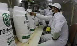 Malatya Şeker Fabrikası laborant, ustabaşı ve kalifiye işçi alacak