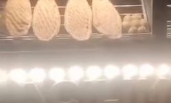 Elazığ'da bir fare ekmeklerin üstünde gezerken görüldü