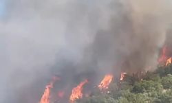 Doğanyol yanıyor! Çok sayıda ekip sevk edildi!