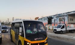 Minibüs üstünde gezen kedi şaşırttı