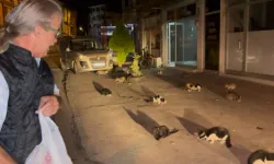 Kendini kedilere adadı!