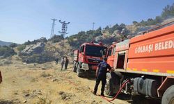 Adıyaman'da orman yangını