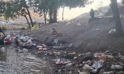 Adıyaman'da piknik alanı çöplüğe döndü
