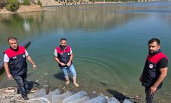 Beyhan Baraj Gölü’ne 50 bin yavru balık bırakıldı
