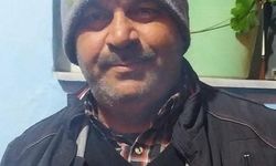 Domuz sürüsü can aldı!