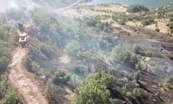 Elazığ'da ormanlık alanda korkutan yangın!