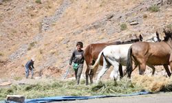 Katırlarla kışa hazırlık