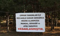 Mesire alanlarında mangal, semaver yakmak yasaklandı!