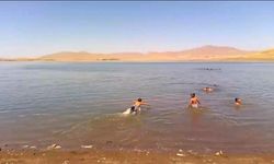 Patnos Barajı serinlemek isteyenlerin adresi oldu