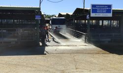 Malatya’da kapatılan hayvan pazarı dezenfekte edildi