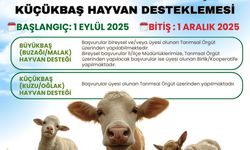 Bu haber Malatya'daki hayvan sahiplerine: 1 Eylül'de başlıyor!