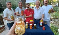 Doğanşehir'de Araban Sarımsağı'ndan şifa dağıtıyor!