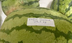 Sayılı günler kala depoya 76 karpuz bırakıldı!