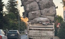 Adıyaman’ın canına tak etti: “Bunları ‘men’ edin”