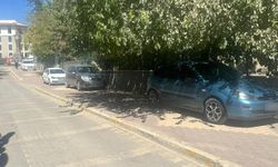 Adıyaman’da kaldırımlar kişisel otoparka döndü!