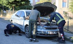 Köpeklerden kaçan su samuru otomobilin kaputuna sığındı